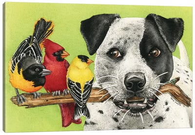 Lets Play Fetch Canvas Art Print - Tracy Lizotte