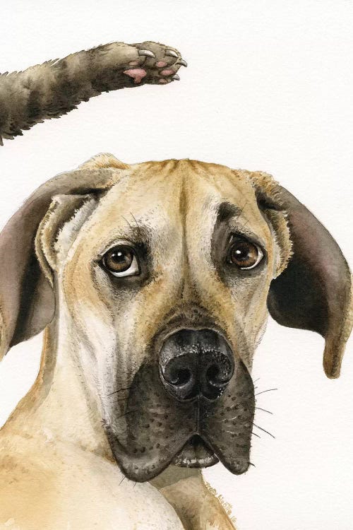 Not Again! by Tracy Lizotte wall art