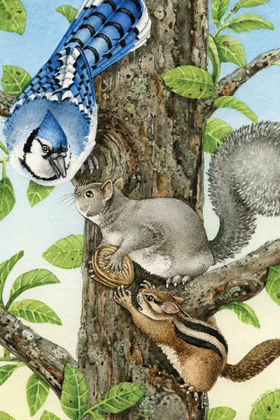 Rodents: Nutty Situation by Tracy Lizotte