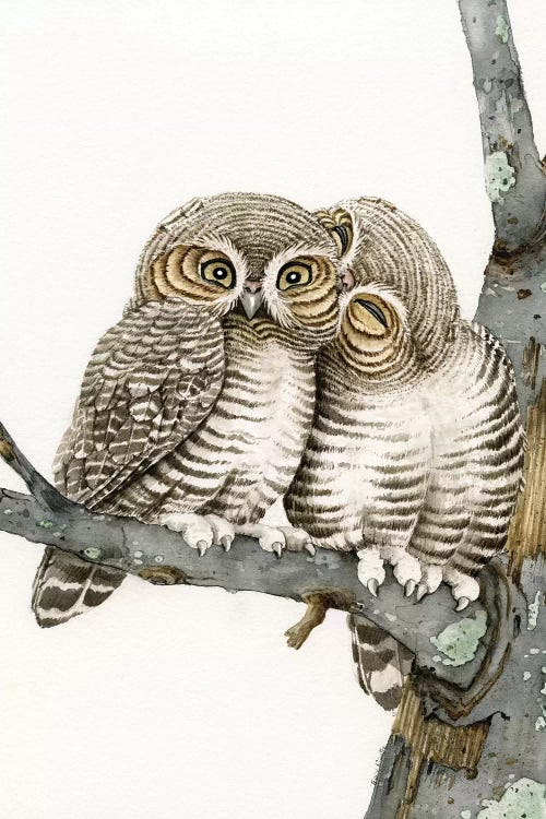 Owl Smooch