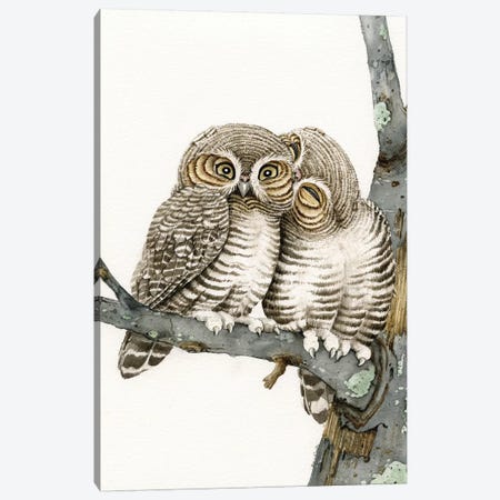 Owl Smooch Canvas Print #TLZ58} by Tracy Lizotte Canvas Art