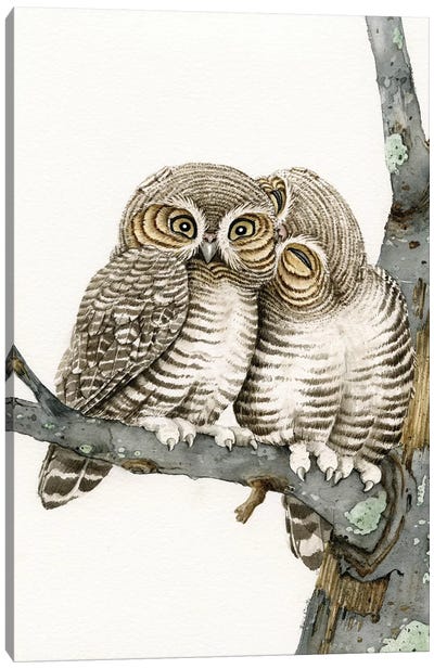 Owl Smooch Canvas Art Print - Owl Art