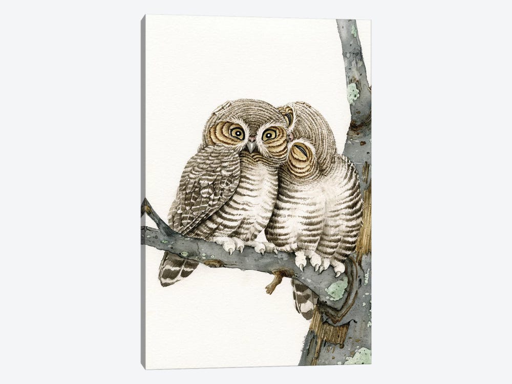 Owl Smooch by Tracy Lizotte 1-piece Canvas Print
