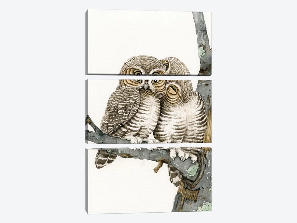 Owl Smooch by Tracy Lizotte 3-piece Canvas Art Print