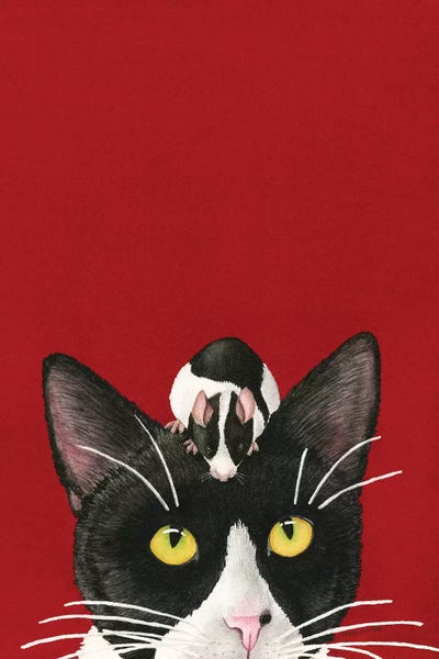Tuxedo Cats: Black White Red All Over by Tracy Lizotte