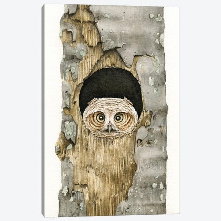 Peek A Boo Owl Canvas Print #TLZ61} by Tracy Lizotte Canvas Art Print