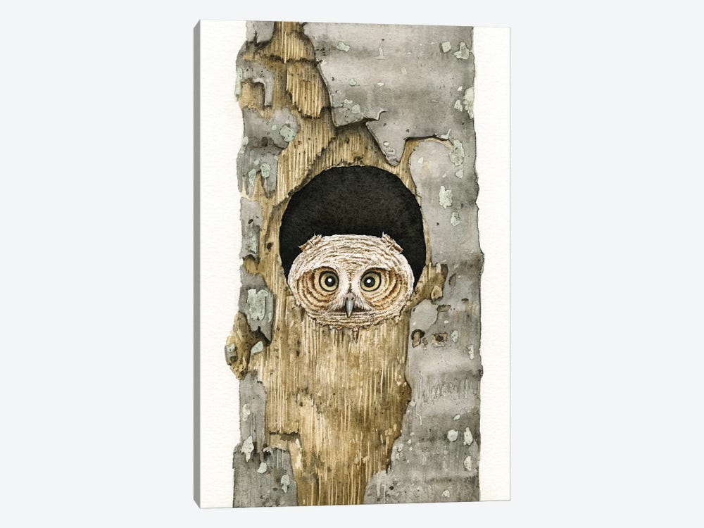 Peek A Boo Owl by Tracy Lizotte 1-piece Art Print
