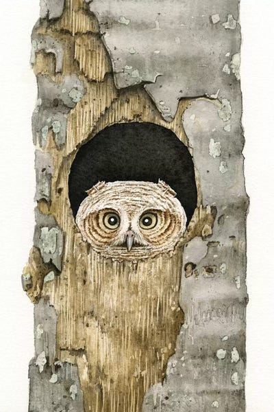 Birch Trees: Peek A Boo Owl by Tracy Lizotte