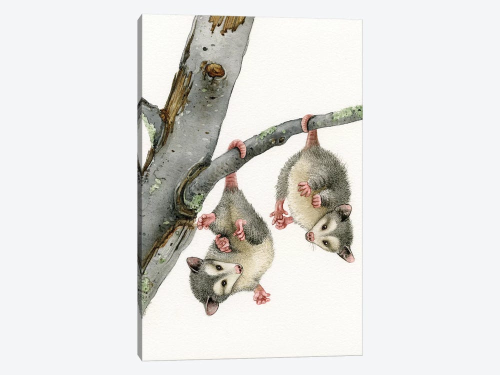 Playful Possums by Tracy Lizotte 1-piece Art Print