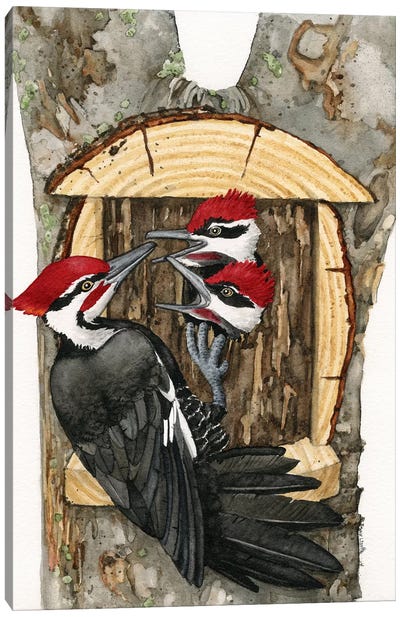 Rustic Living Canvas Art Print - Woodpecker Art