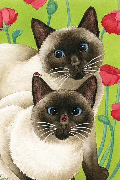 Ladybugs: Seeing Two by Tracy Lizotte