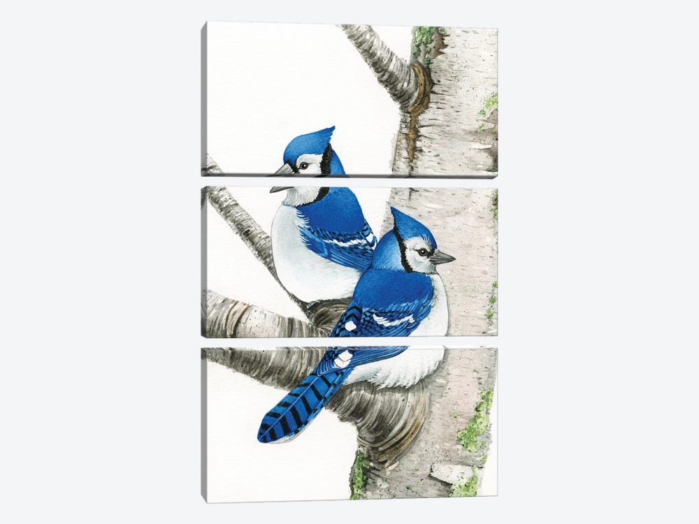 Blue Jays In Birch Tree by Tracy Lizotte 3-piece Canvas Art Print