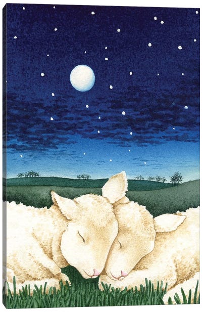 Sleeping Lambs Canvas Art Print - Sheep Art