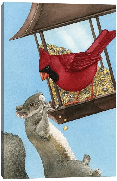 Squirrel Dilemma Canvas Art Print - Cardinal Art