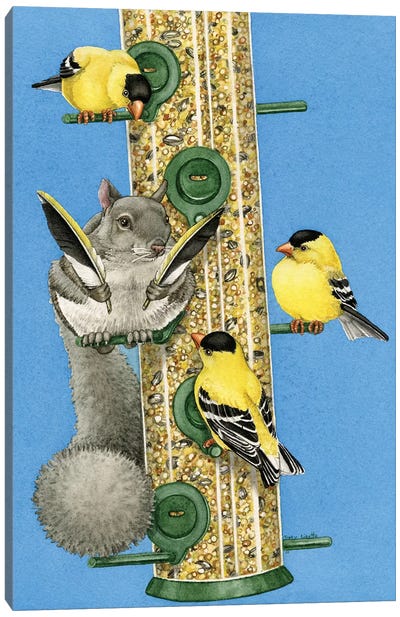 Squirrel Incognito Canvas Art Print - Finch Art