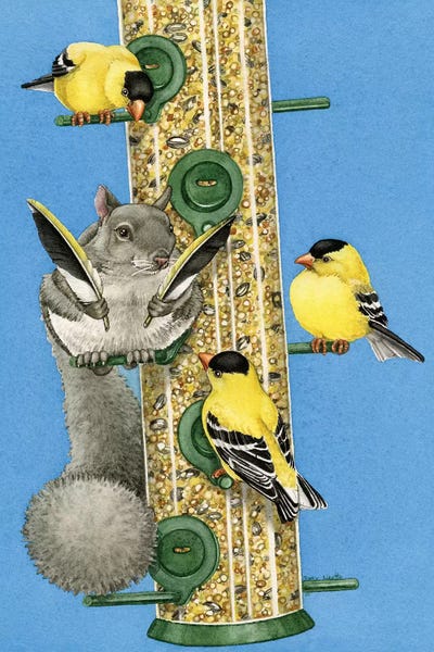 Tracy Lizotte: Squirrel Incognito by Tracy Lizotte
