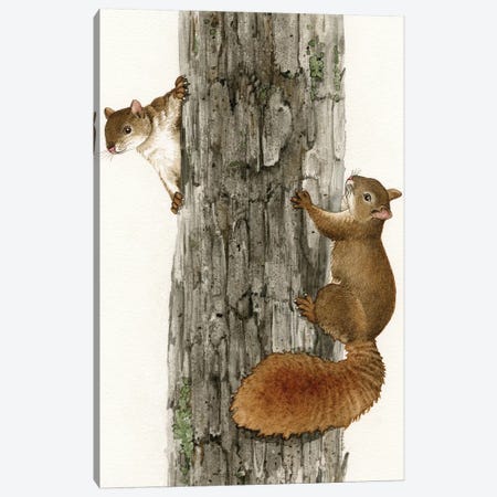 Squirrel Tag Canvas Print #TLZ74} by Tracy Lizotte Canvas Print