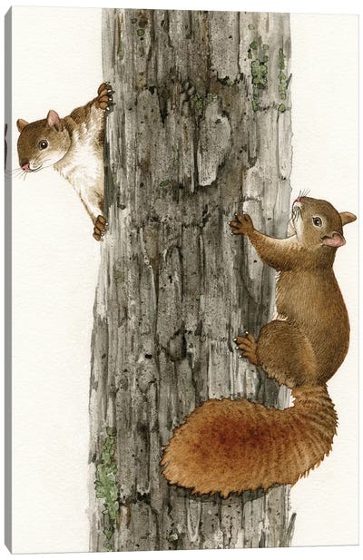 Squirrel Tag Canvas Art Print - Tracy Lizotte
