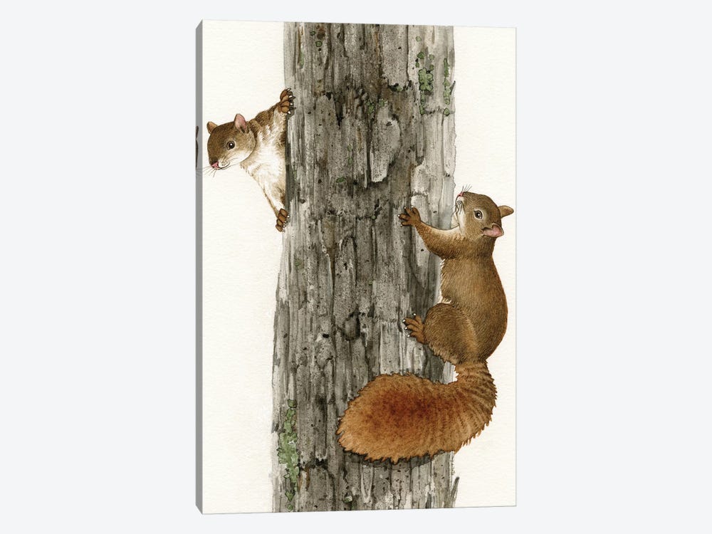Squirrel Tag by Tracy Lizotte 1-piece Canvas Art Print