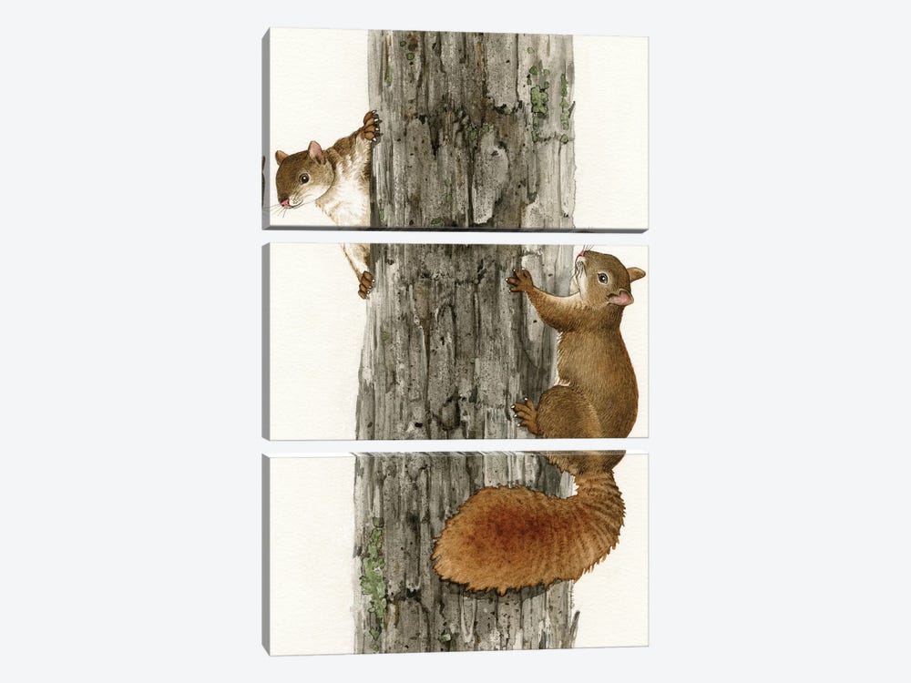 Squirrel Tag by Tracy Lizotte 3-piece Canvas Print