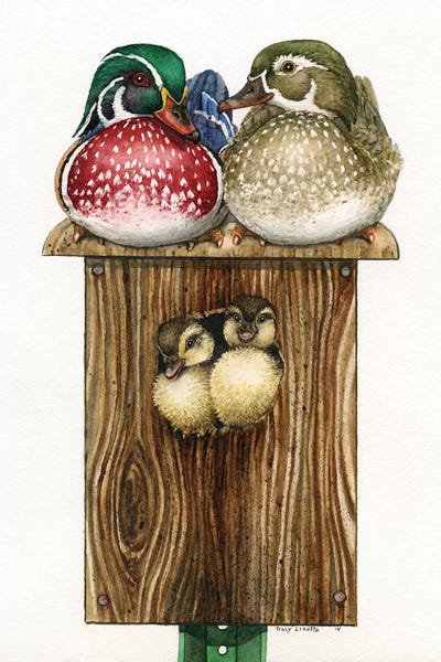 Lakehouse Décor: Synthetic Living by Tracy Lizotte