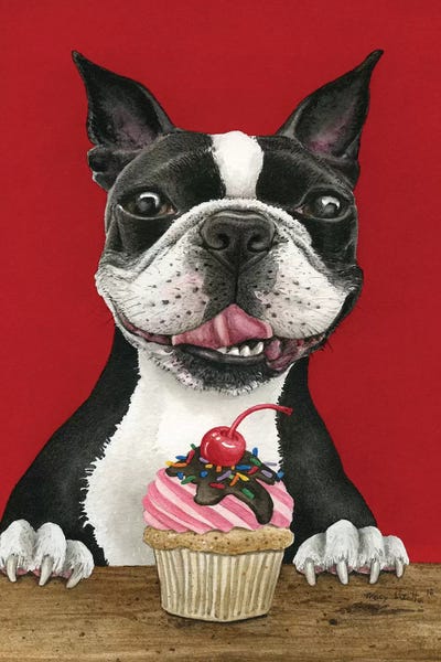 Terriers: Boston Cupcake by Tracy Lizotte