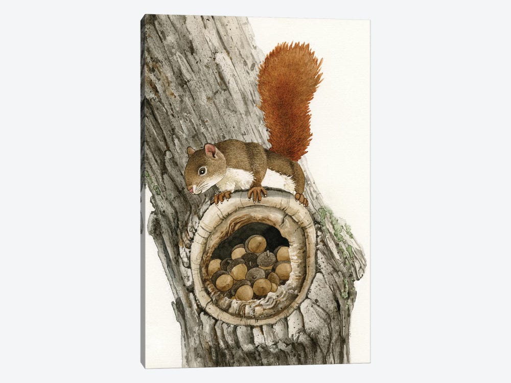 The Nut Collector by Tracy Lizotte 1-piece Canvas Art
