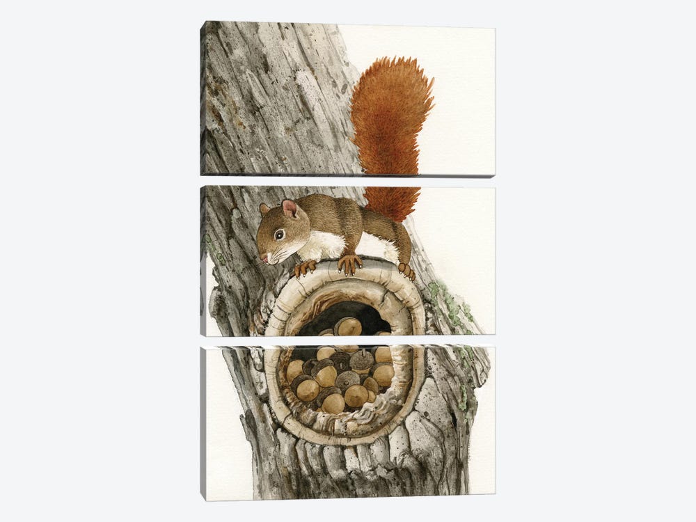 The Nut Collector by Tracy Lizotte 3-piece Canvas Art