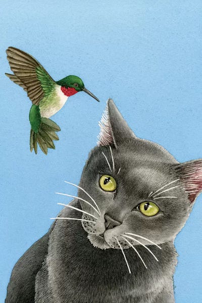 Hummingbirds: There's A Humming In My Ear by Tracy Lizotte