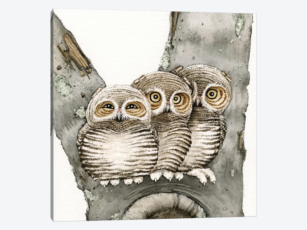 Three Owls by Tracy Lizotte 1-piece Canvas Artwork