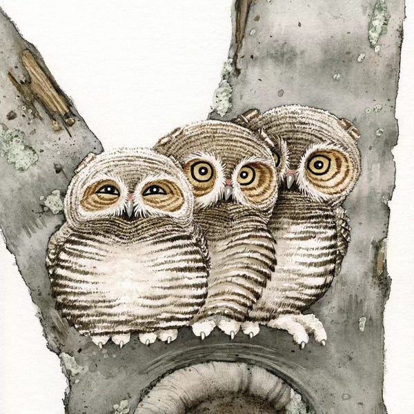 Lakehouse Décor: Three Owls by Tracy Lizotte