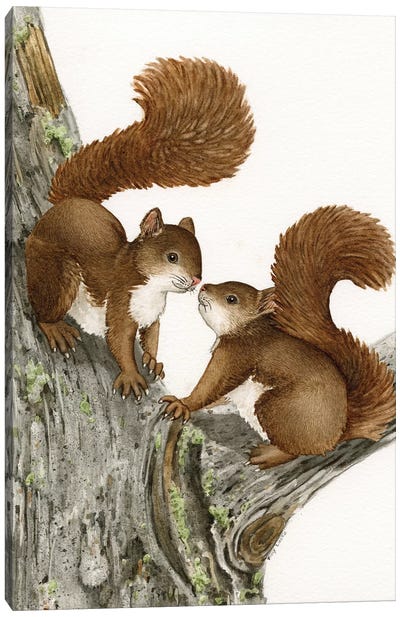 Two Squirrels Canvas Art Print - Squirrel Art