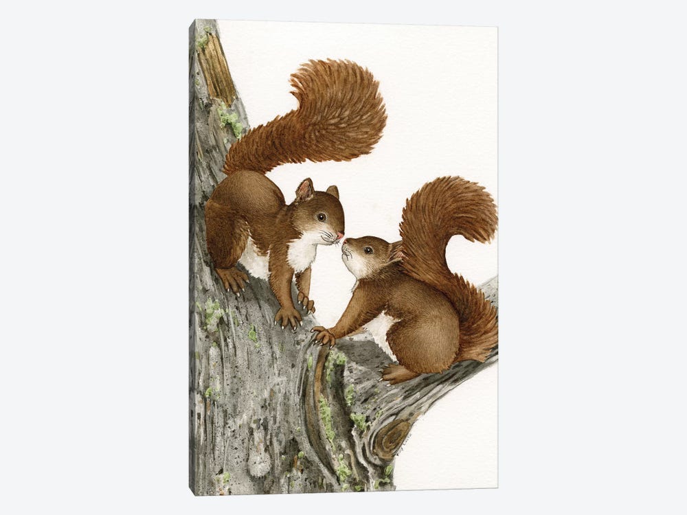 Two Squirrels by Tracy Lizotte 1-piece Art Print