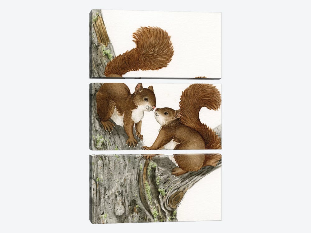 Two Squirrels by Tracy Lizotte 3-piece Art Print