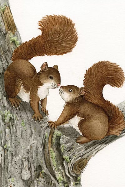Lakehouse Décor: Two Squirrels by Tracy Lizotte