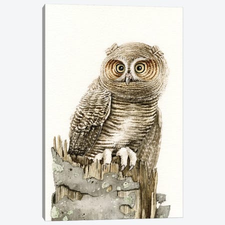 Wandering Owl Canvas Print #TLZ88} by Tracy Lizotte Canvas Print