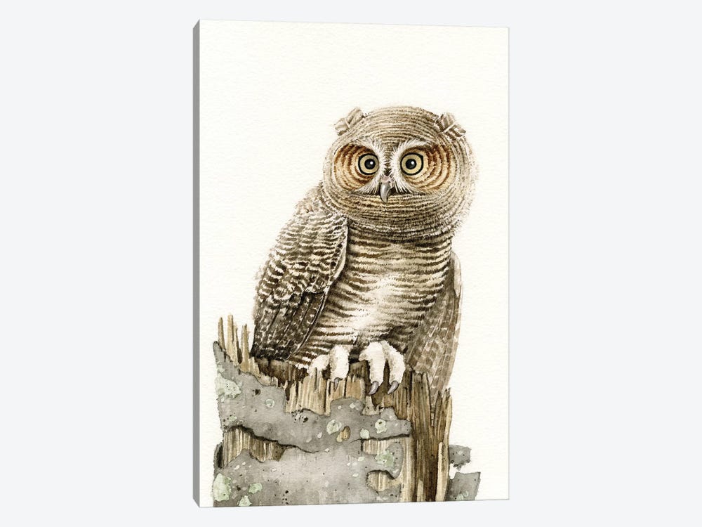 Wandering Owl by Tracy Lizotte 1-piece Canvas Artwork