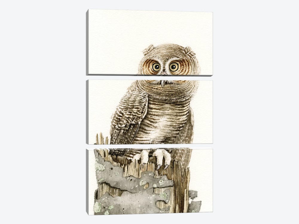 Wandering Owl by Tracy Lizotte 3-piece Canvas Wall Art