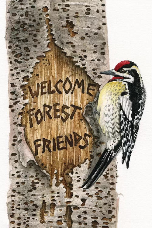 Welcome Forest Friends