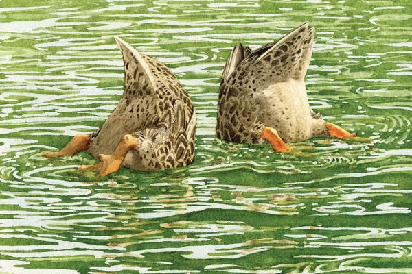 Lakehouse Décor: Bottoms Up by Tracy Lizotte