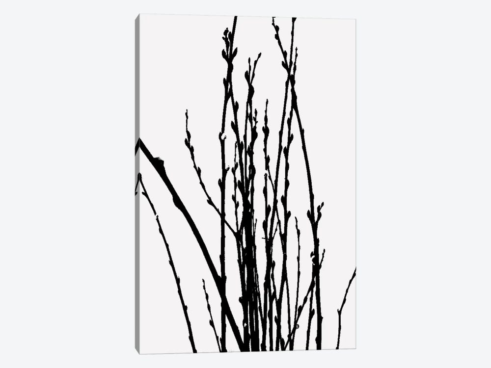 Stick Plant VI by The Maisey Design Shop 1-piece Canvas Art Print