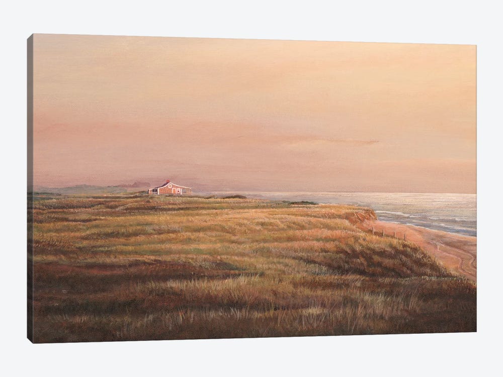 Cisco Sunset by Tom Mielko 1-piece Canvas Wall Art