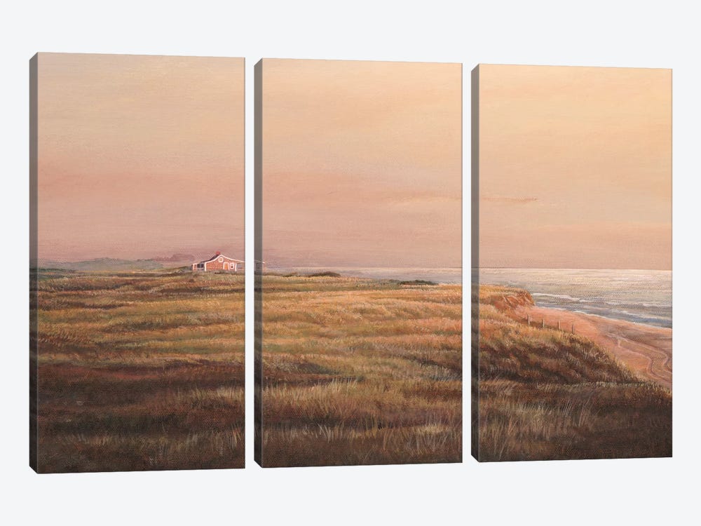 Cisco Sunset by Tom Mielko 3-piece Canvas Artwork