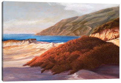Coastal Dunes Canvas Art Print - Coastal Sand Dune Art