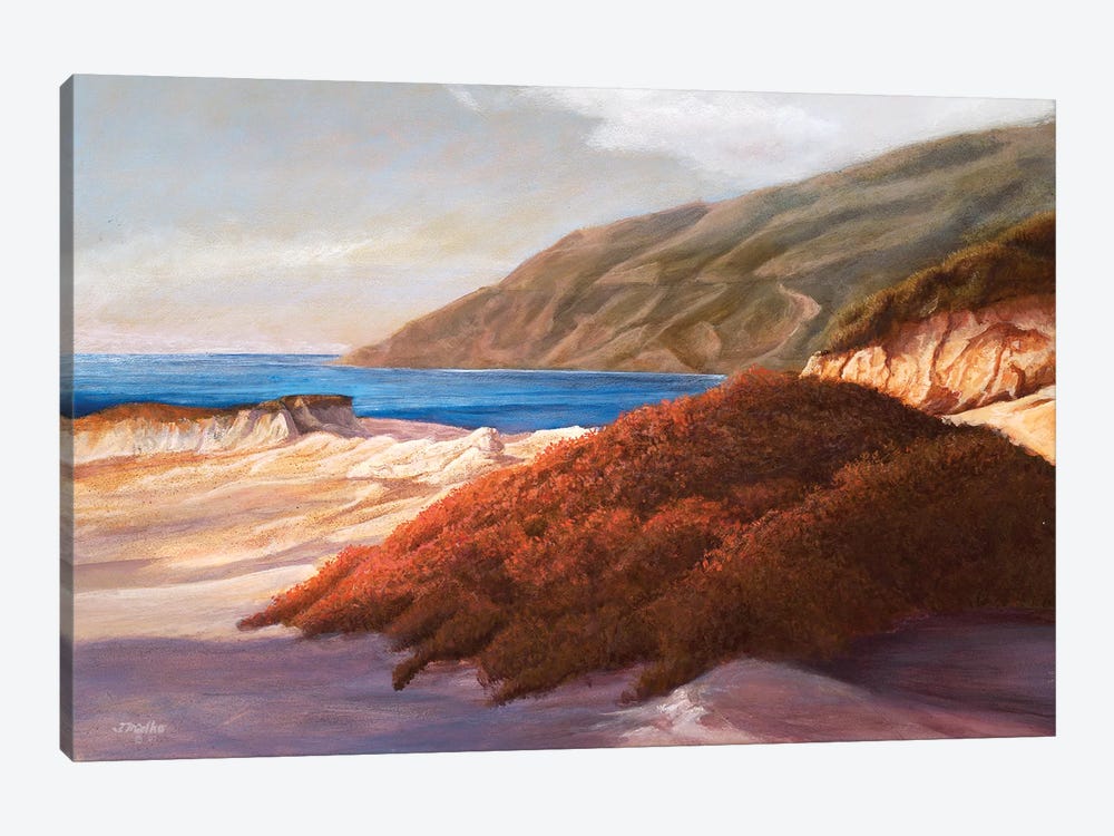 Coastal Dunes by Tom Mielko 1-piece Canvas Print