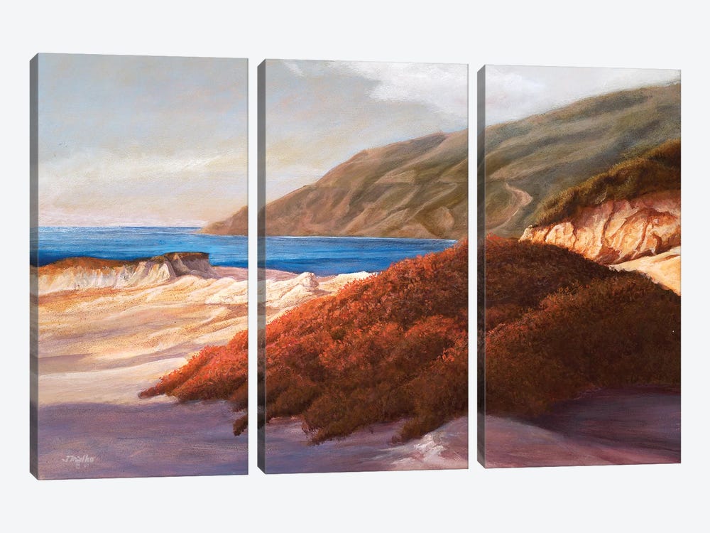 Coastal Dunes by Tom Mielko 3-piece Canvas Print