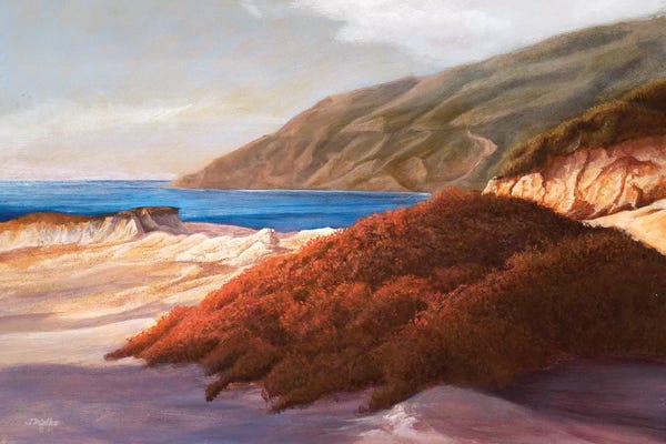 Tom Mielko: Coastal Dunes by Tom Mielko