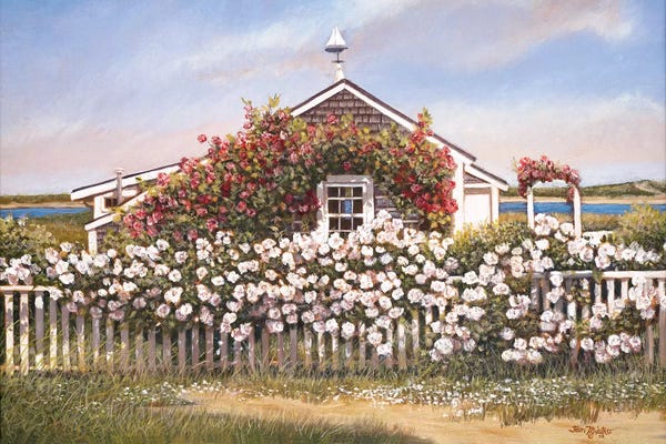 Tom Mielko: Cottage and Roses by Tom Mielko