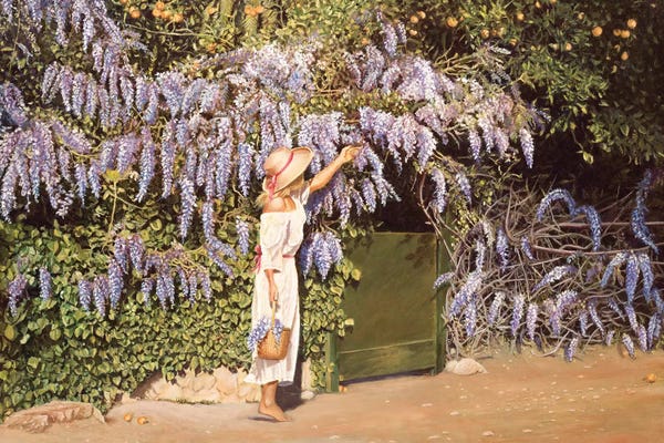 Wisterias: Full Blossom by Tom Mielko