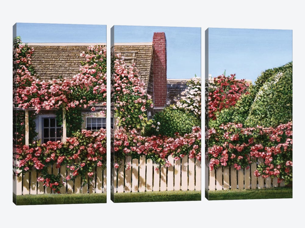 Nantucket Roses by Tom Mielko 3-piece Canvas Art Print